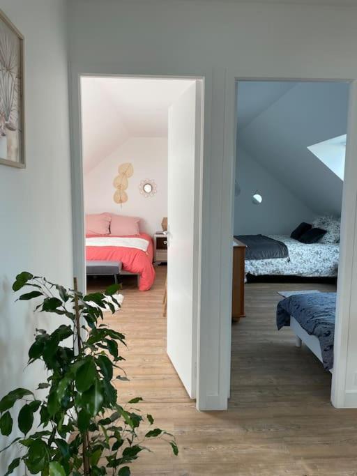 Appartement Cosy Sous Les Toits Lion-sur-Mer Ngoại thất bức ảnh